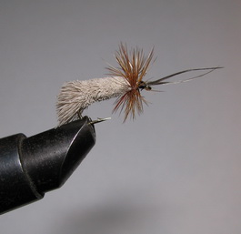 ���� Goddard Caddis Natural / Brown Kumho � 14